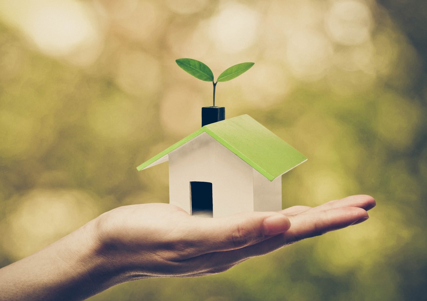 Design your new home in a sustainable and efficient way